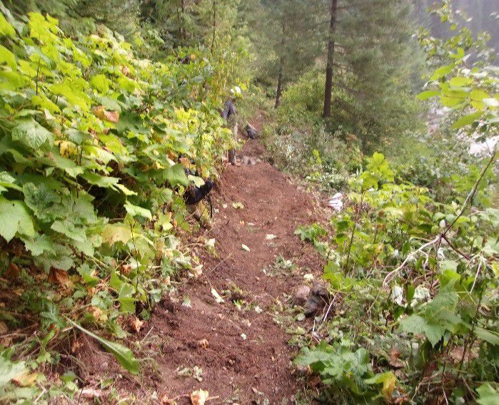 Cayuse Trail AFTER